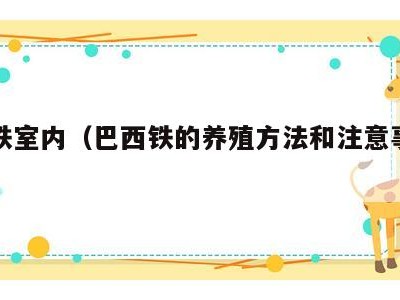 巴西铁室内（巴西铁的养殖方法和注意事项有哪些）