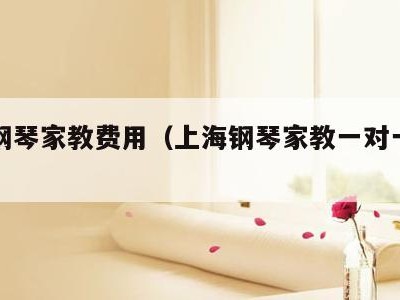 上海钢琴家教费用(上海钢琴家教一对一价格)