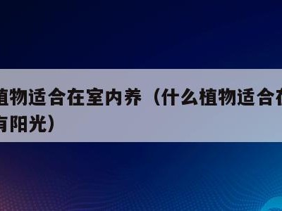 什么植物适合在室内养（什么植物适合在室内养没有阳光）