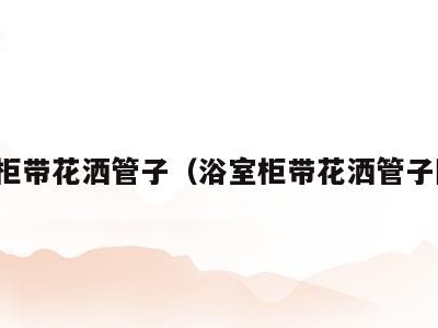 浴室柜带花洒管子(浴室柜带花洒管子图片)