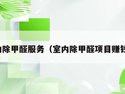 室内除甲醛服务（室内除甲醛项目赚钱吗）
