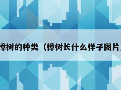 樟树的种类(樟树长什么样子图片)