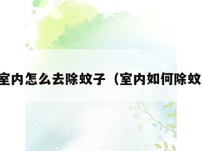 室内怎么去除蚊子(室内如何除蚊)