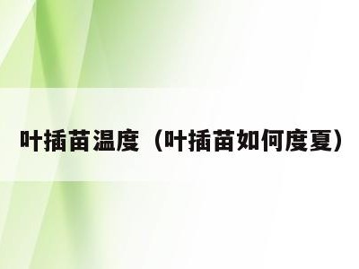 叶插苗温度（叶插苗如何度夏）
