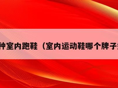 哪种室内跑鞋(室内运动鞋哪个牌子好)