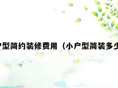 小户型简约装修费用(小户型简装多少钱)