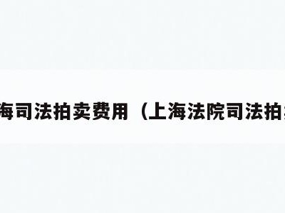 上海司法拍卖费用（上海法院司法拍卖）