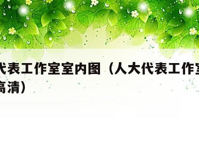 人大代表工作室室内图(人大代表工作室室内图片高清)