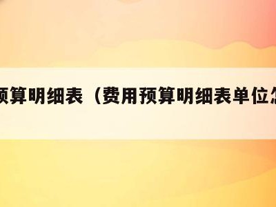 费用预算明细表（费用预算明细表单位怎么填）