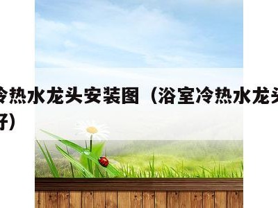 浴室冷热水龙头安装图(浴室冷热水龙头什么牌子好)