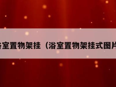 浴室置物架挂（浴室置物架挂式图片）