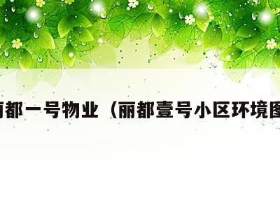 丽都一号物业（丽都壹号小区环境图）