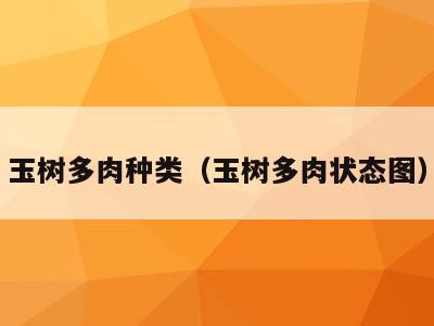 玉树多肉种类(玉树多肉状态图)