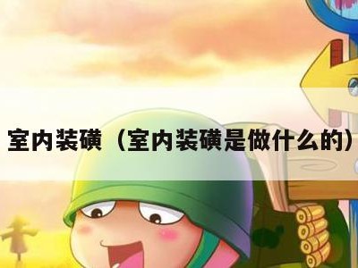 室内装磺（室内装磺是做什么的）