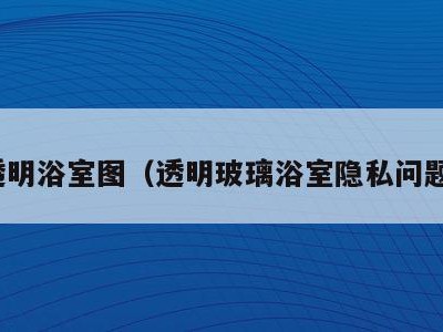 透明浴室图(透明玻璃浴室隐私问题)