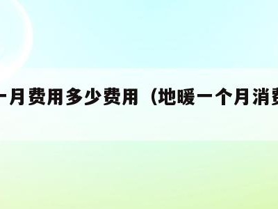地暖一月费用多少费用(地暖一个月消费多少钱)