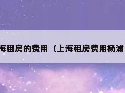 上海租房的费用（上海租房费用杨浦区）