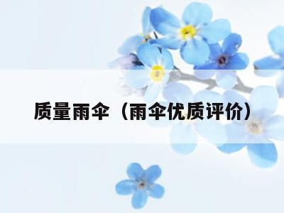 质量雨伞（雨伞优质评价）
