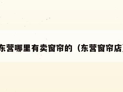东营哪里有卖窗帘的（东营窗帘店）