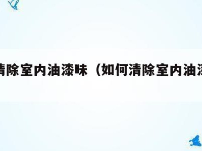 如何清除室内油漆味（如何清除室内油漆味道）