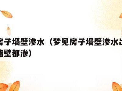 梦见房子墙壁渗水(梦见房子墙壁渗水出水来到处墙壁都渗)