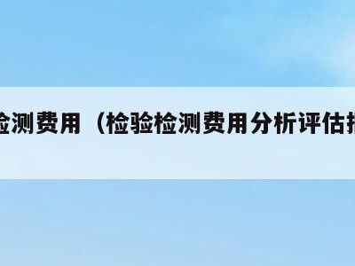 检验检测费用(检验检测费用分析评估报告怎么写)