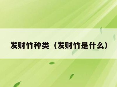 发财竹种类（发财竹是什么）