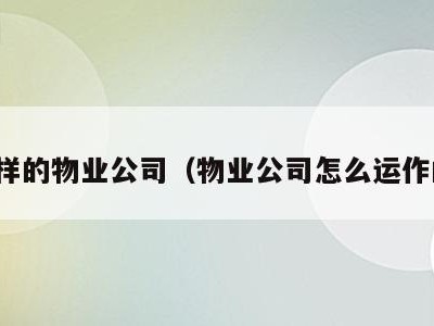 怎样的物业公司(物业公司怎么运作的)
