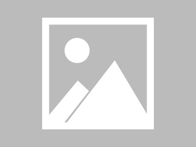 君子兰价格及图片(君子兰价格行情及精美图片赏析——市场动态与养护指南)