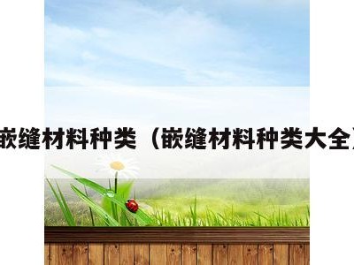 嵌缝材料种类(嵌缝材料种类大全)