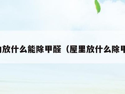 室内放什么能除甲醛（屋里放什么除甲醛）
