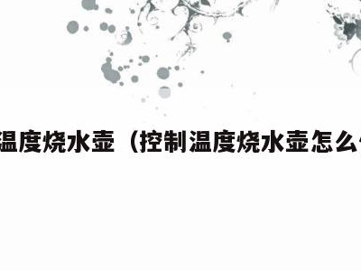 控制温度烧水壶（控制温度烧水壶怎么使用）