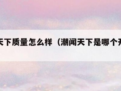 潮闻天下质量怎么样(潮闻天下是哪个开发商)
