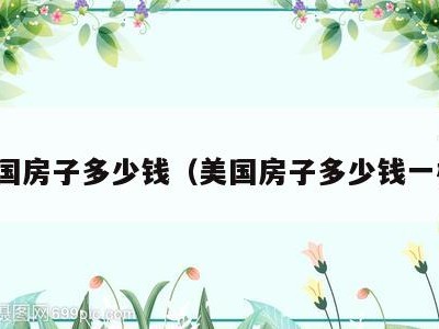 美国房子多少钱(美国房子多少钱一栋)