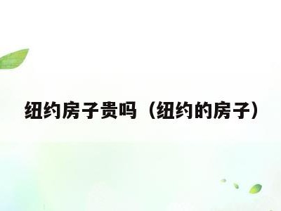 纽约房子贵吗(纽约的房子)