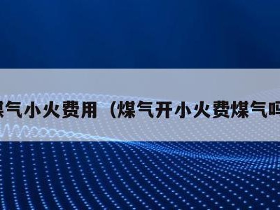 煤气小火费用(煤气开小火费煤气吗)