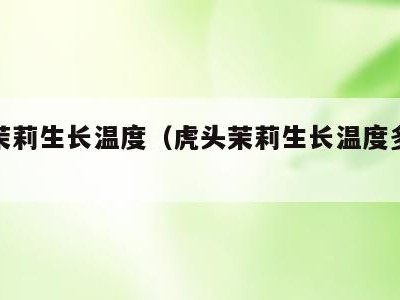 虎头茉莉生长温度(虎头茉莉生长温度多少合适)