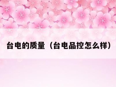 台电的质量（台电品控怎么样）