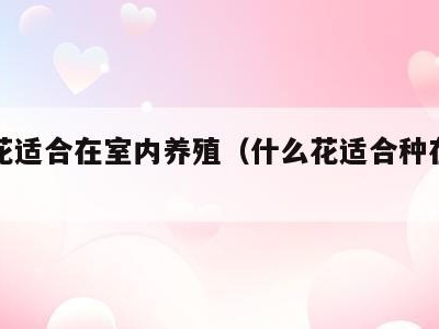 那种花适合在室内养殖(什么花适合种在室内养)