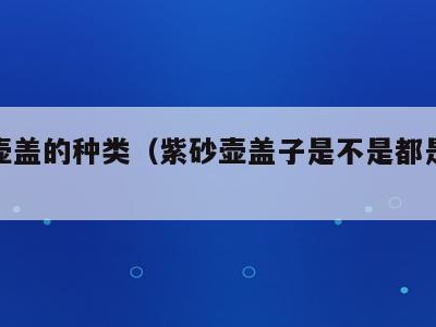 紫砂壶盖的种类（紫砂壶盖子是不是都是一个标准）