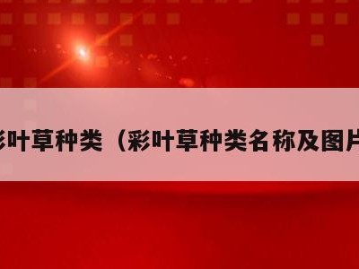 彩叶草种类(彩叶草种类名称及图片)