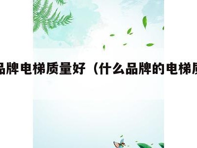 哪个品牌电梯质量好(什么品牌的电梯质量好)
