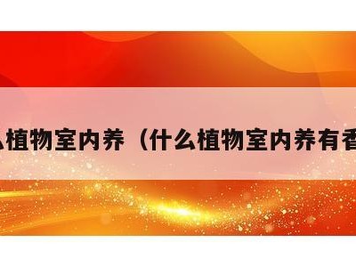 什么植物室内养（什么植物室内养有香味）