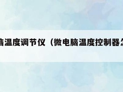 微电脑温度调节仪（微电脑温度控制器怎么调视频）