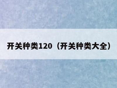 开关种类120（开关种类大全）