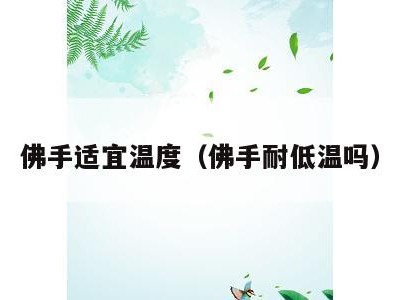 佛手适宜温度（佛手耐低温吗）