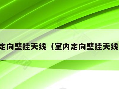 室内定向壁挂天线（室内定向壁挂天线作用）