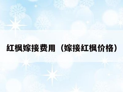 红枫嫁接费用（嫁接红枫价格）