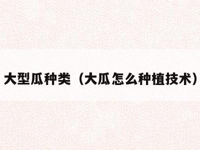 大型瓜种类(大瓜怎么种植技术)
