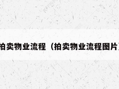 拍卖物业流程(拍卖物业流程图片)